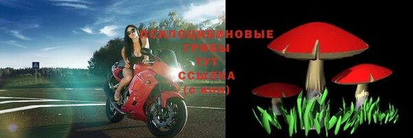 молекула духа Покров
