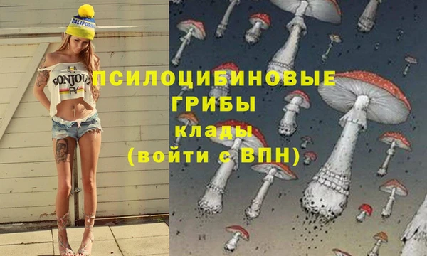 ALPHA-PVP Армянск