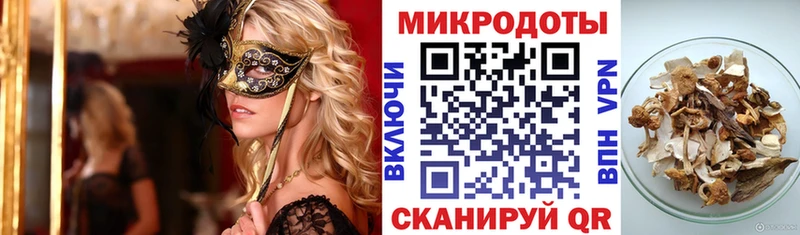 где найти Верхнеуральск мориарти состав Галлюциногенные грибы Psilocybe